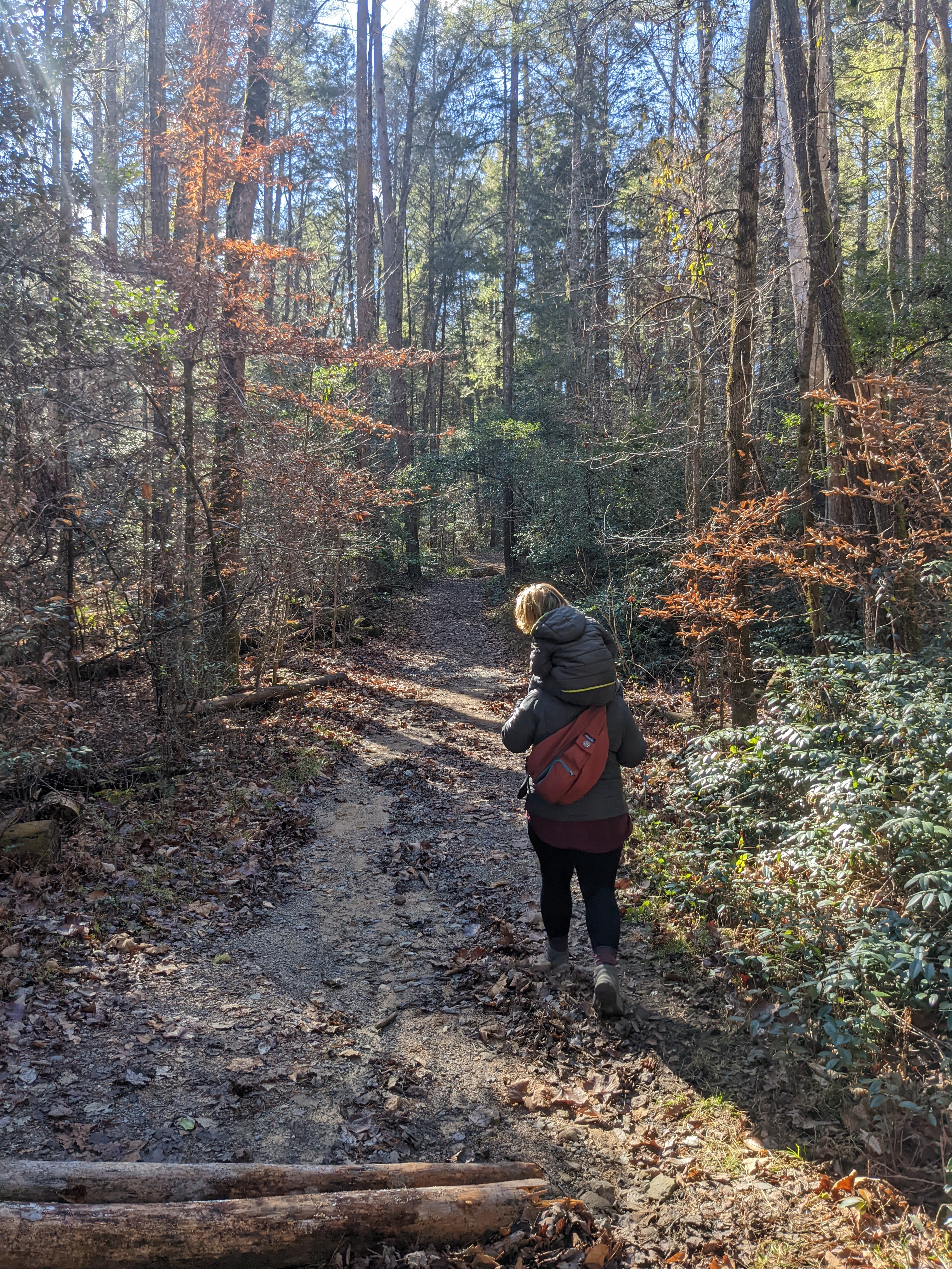 The Cane Creek Trail exiting the campground