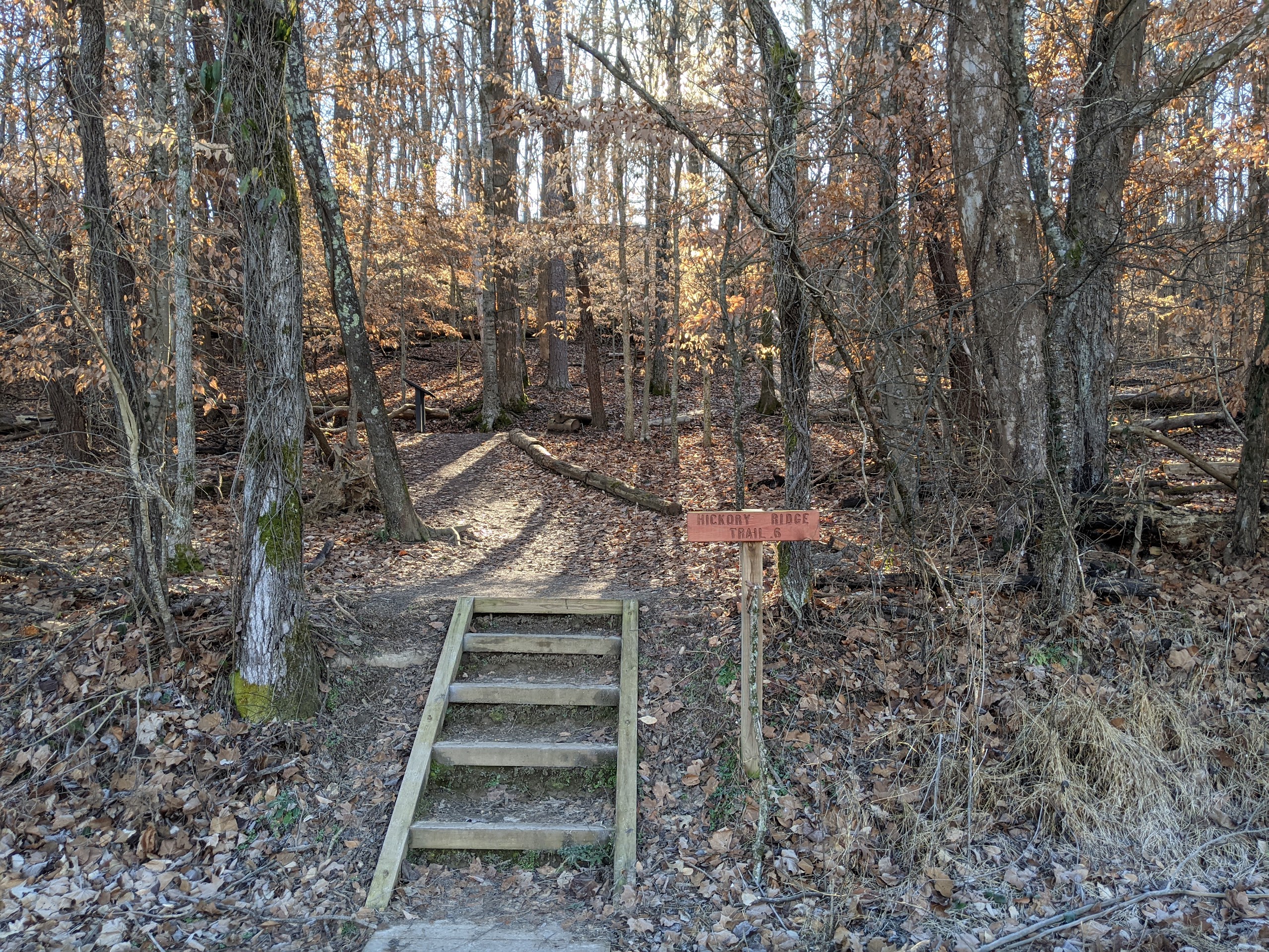 The Start of the Hickory Ridge Trail